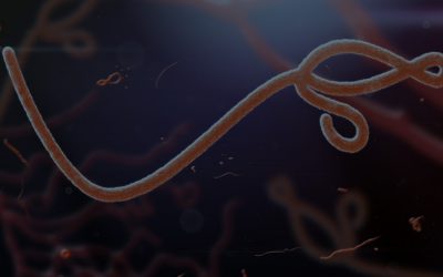 An Analysis of Ebola Coverage in Politicized U.S. Media