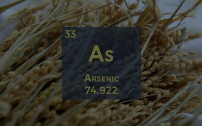 Arsenic in food: consumers concerned but brands not implicated… yet