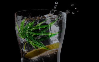 Cannabis-Infused Drinks: Exploring the New Beverage Trend