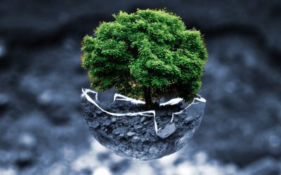 Sustainable Finance: The Rise of the Value-Driven Investor