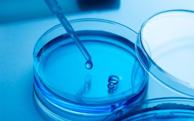 GSK Financial Results Analysis [Infographic]