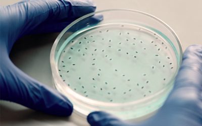 GSK Financial Results Analysis [Infographic]