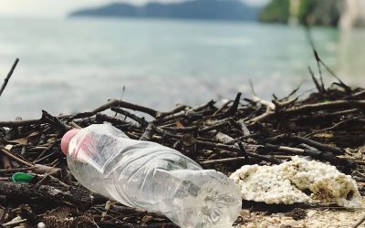 Plastic Pandemic? How Covid Changed the Plastic Debate