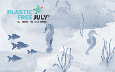 Plastic-Free July 2022: What Can We Learn About Sustainability Comms?