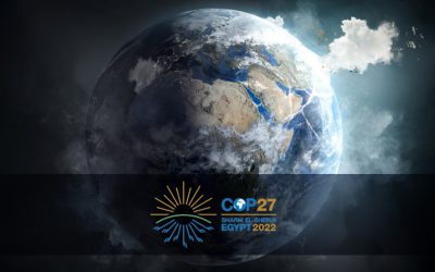 How Did COP27 Change the Sustainability Debate? A Media Analysis